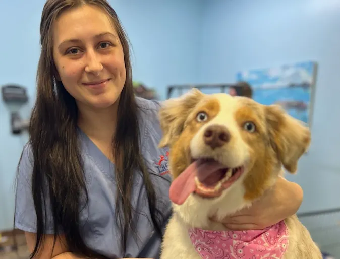 vet and dog posing for a photo vet and dog posing for a photo