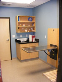 Exam Room at Appalachian Animal Hospital