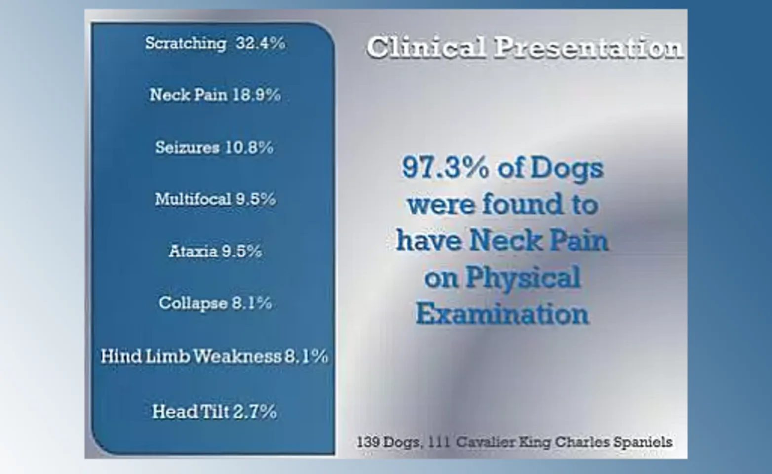 Results of study on neck pain from a group of 139 dogs, including 111 Cavalier King Charles Spaniels, 97.3% of dogs were found to have neck pain on physical examination. Results of study on neck pain from a group of 139 dogs, including 111 Cavalier King Charles Spaniels, 97.3% of dogs were found to have neck pain on physical examination.
