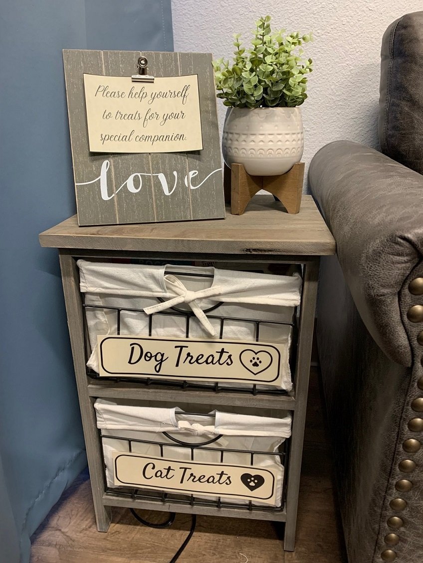 All Creatures Animal Clinic comfort room