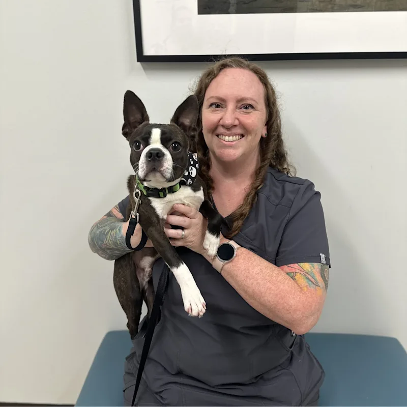 Perry Hall Animal Hospital Kathy Hatzigiannakis Perry Hall Animal Hospital Kathy Hatzigiannakis