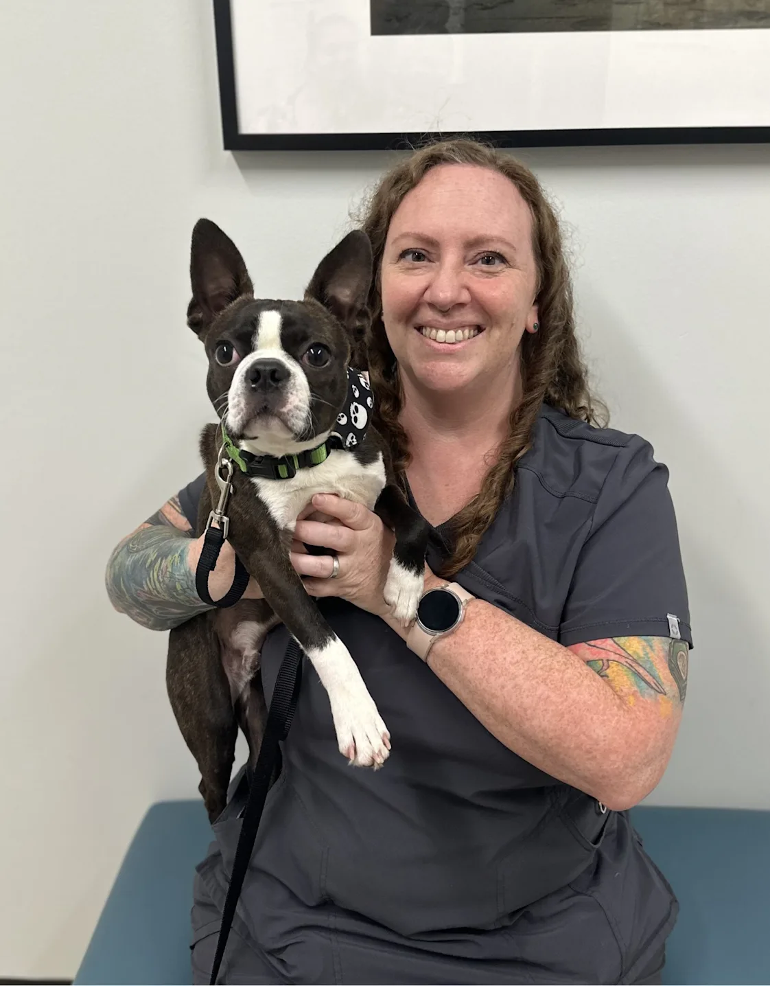 Perry Hall Animal Hospital Kathy Hatzigiannakis Perry Hall Animal Hospital Kathy Hatzigiannakis