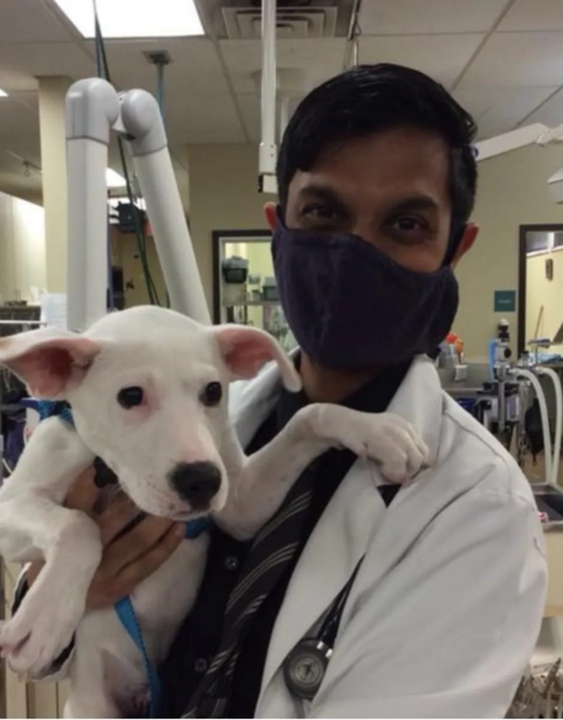 Anshu Gupta holding white dog Anshu Gupta holding white dog