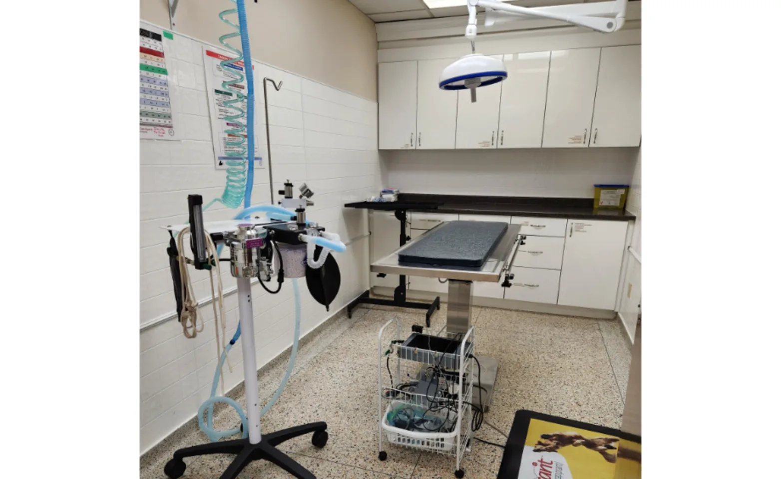 Surgery Suite at Mount Brydges Animal Clinic Surgery Suite at Mount Brydges Animal Clinic