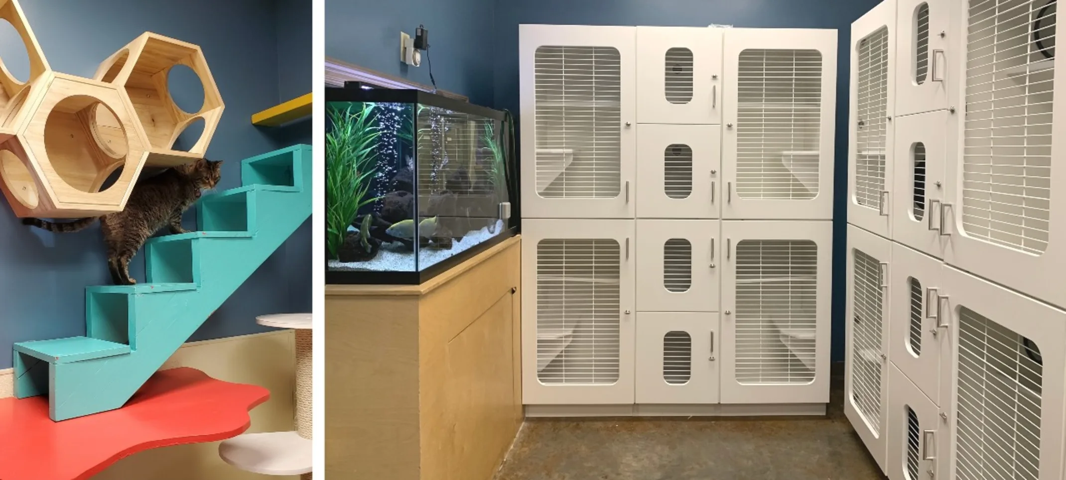 Cat boarding room at Lafayette Veterinary Care Center Cat boarding room at Lafayette Veterinary Care Center