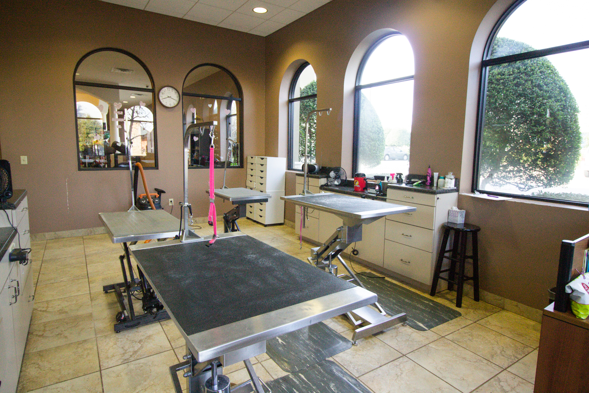 Grooming services at Elite Suites Pet Resort in Southlake