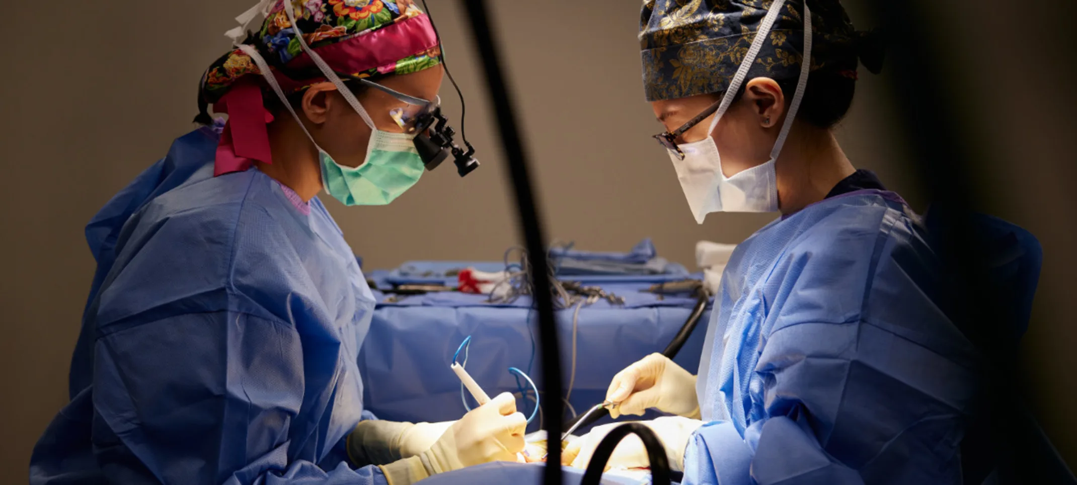 Vets performing Neurosurgery Vets performing Neurosurgery