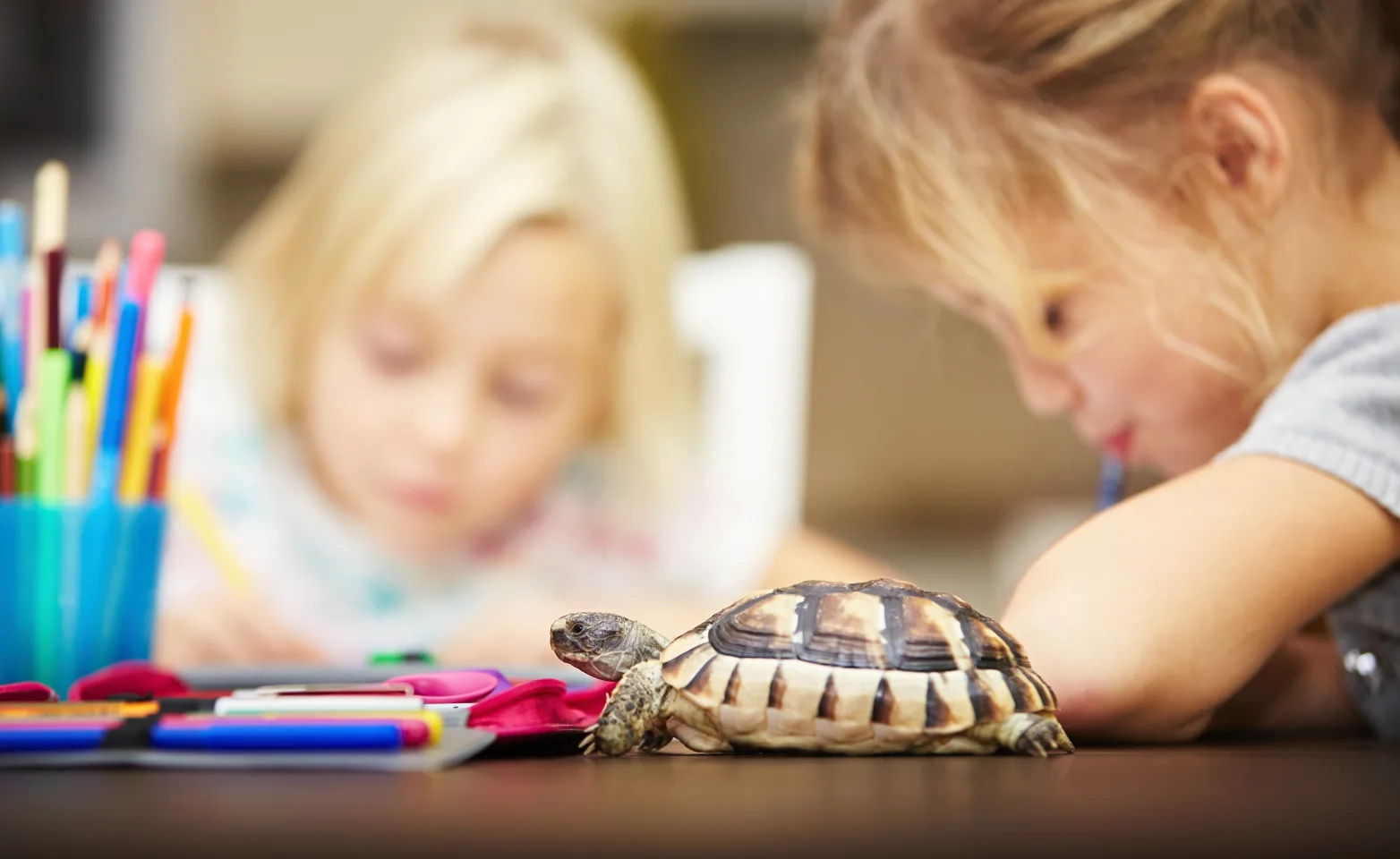 Turtle sitting on a table with 2 children working on projects