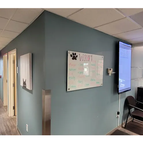 Interior of Cheyenne Tonopah Animal Hospital Interior of Cheyenne Tonopah Animal Hospital