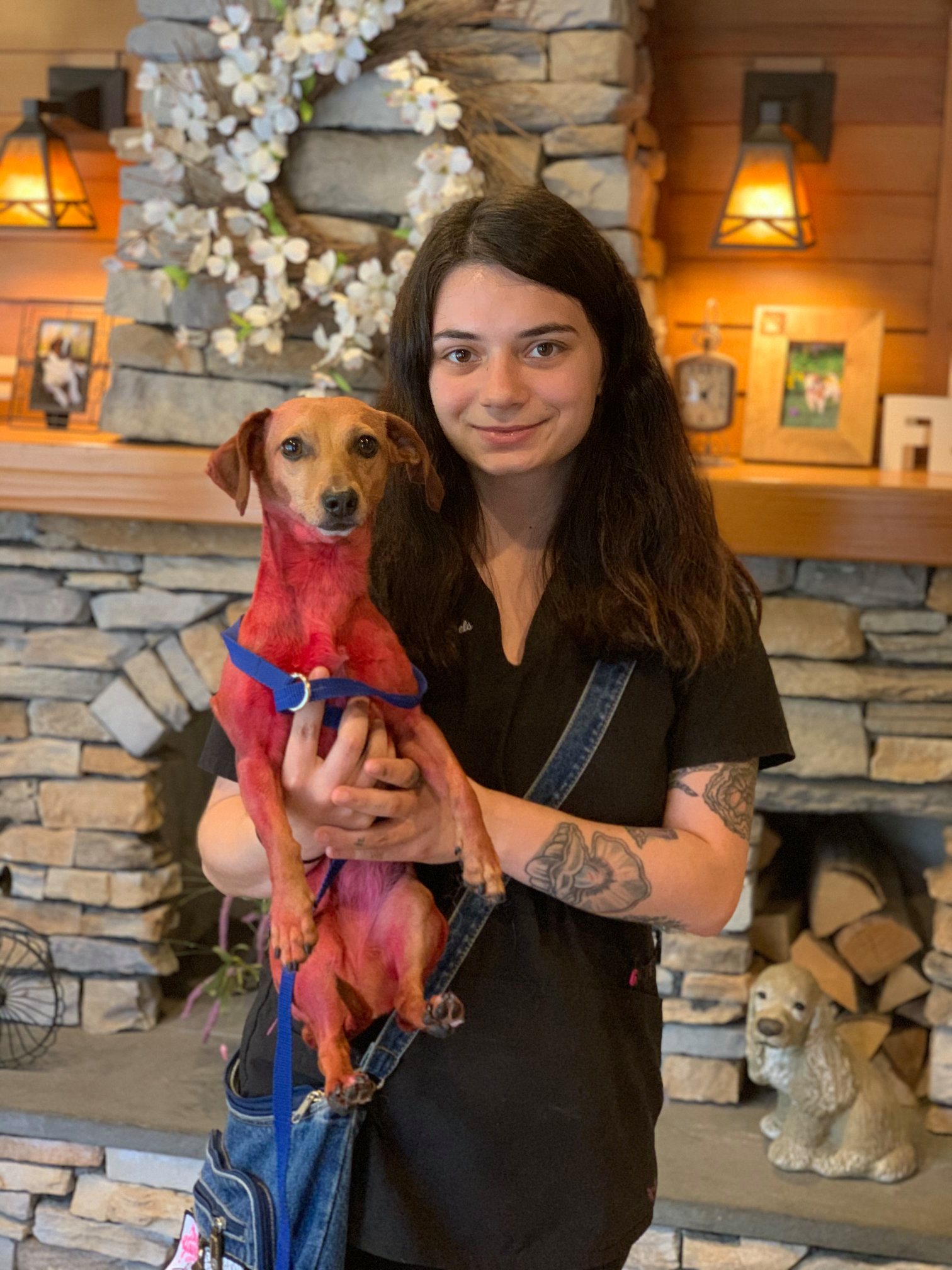 Kalua D. Candlewick Kennels