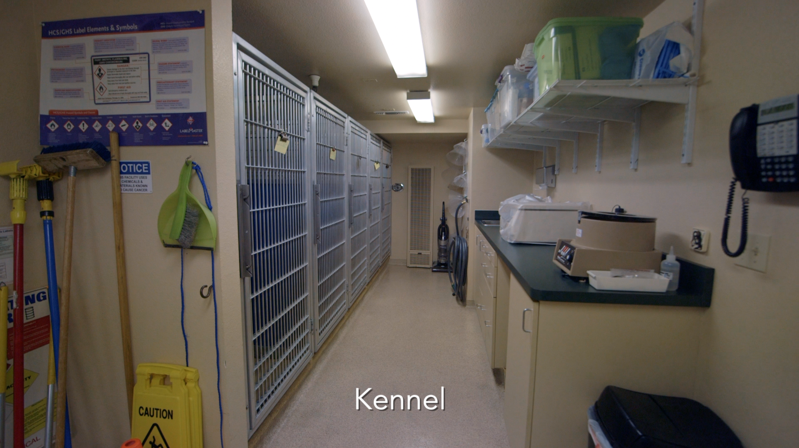 Kennel at Mt. Diablo Veterinary Medical Center