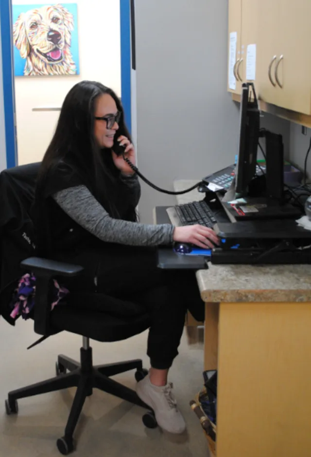 Staff using computer Staff using computer