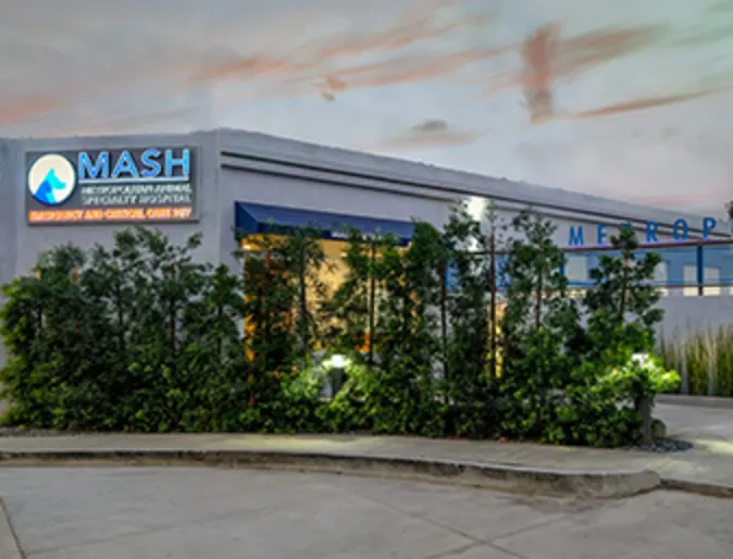 The exterior of MASH at dusk