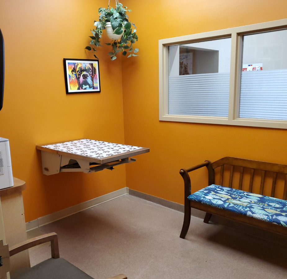Orange examination room
