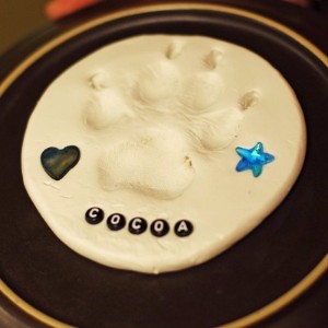 Warren Woods Veterinary Hospital End of Life Care