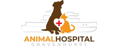 Animal Hospital Gravenhurst  Logo