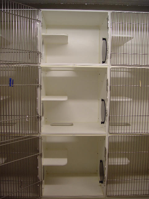  Pompano Pet Lodge Cat Boarding