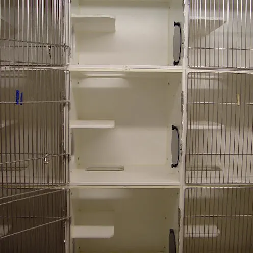 Pompano Pet Lodge Cat Boarding Pompano Pet Lodge Cat Boarding