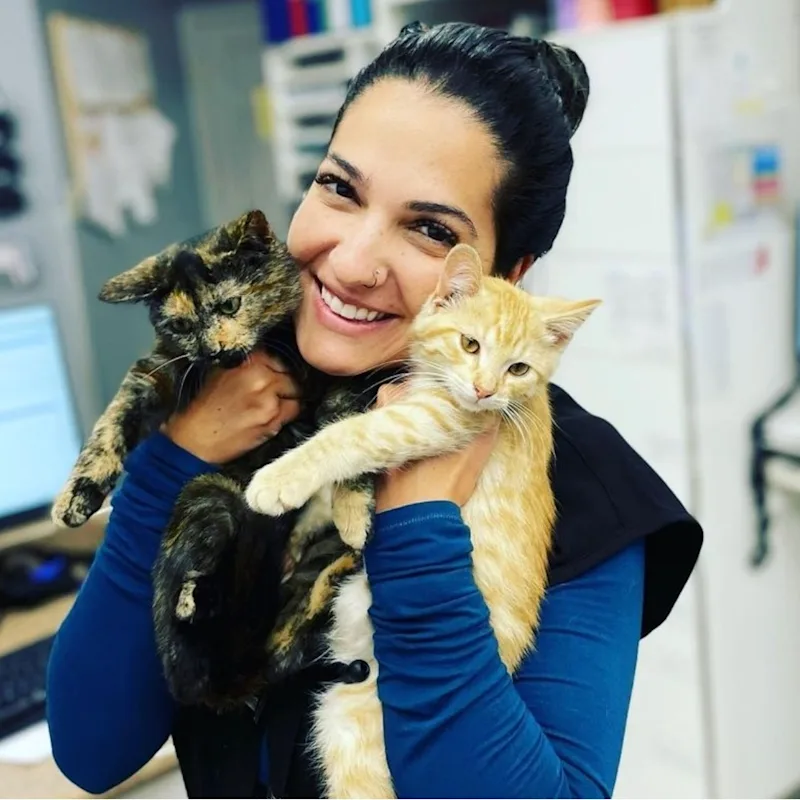 Dr. Alline Stinglin holding a cat Dr. Alline Stinglin holding a cat