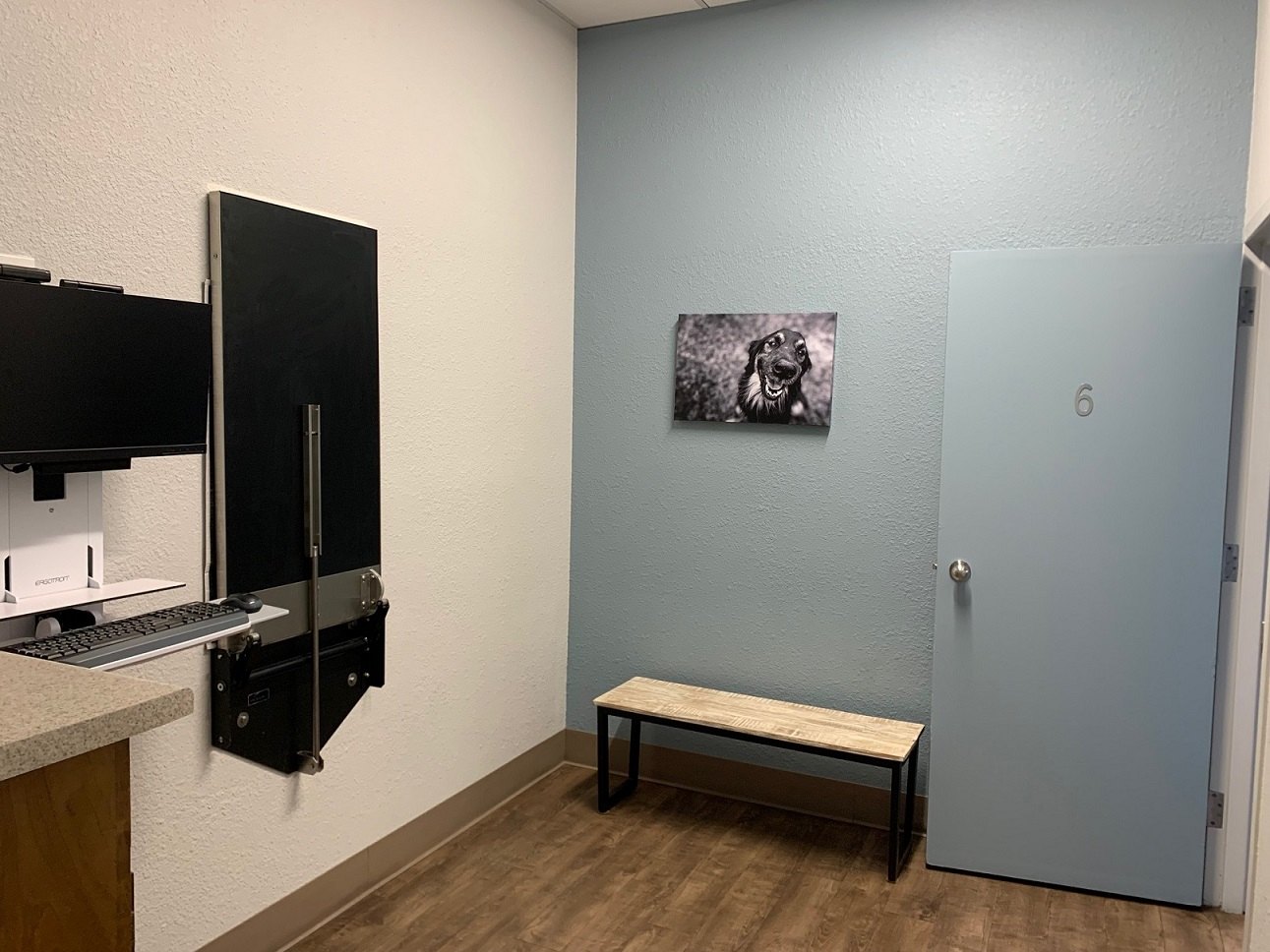 Exam room at All Creatures Animal Clinic