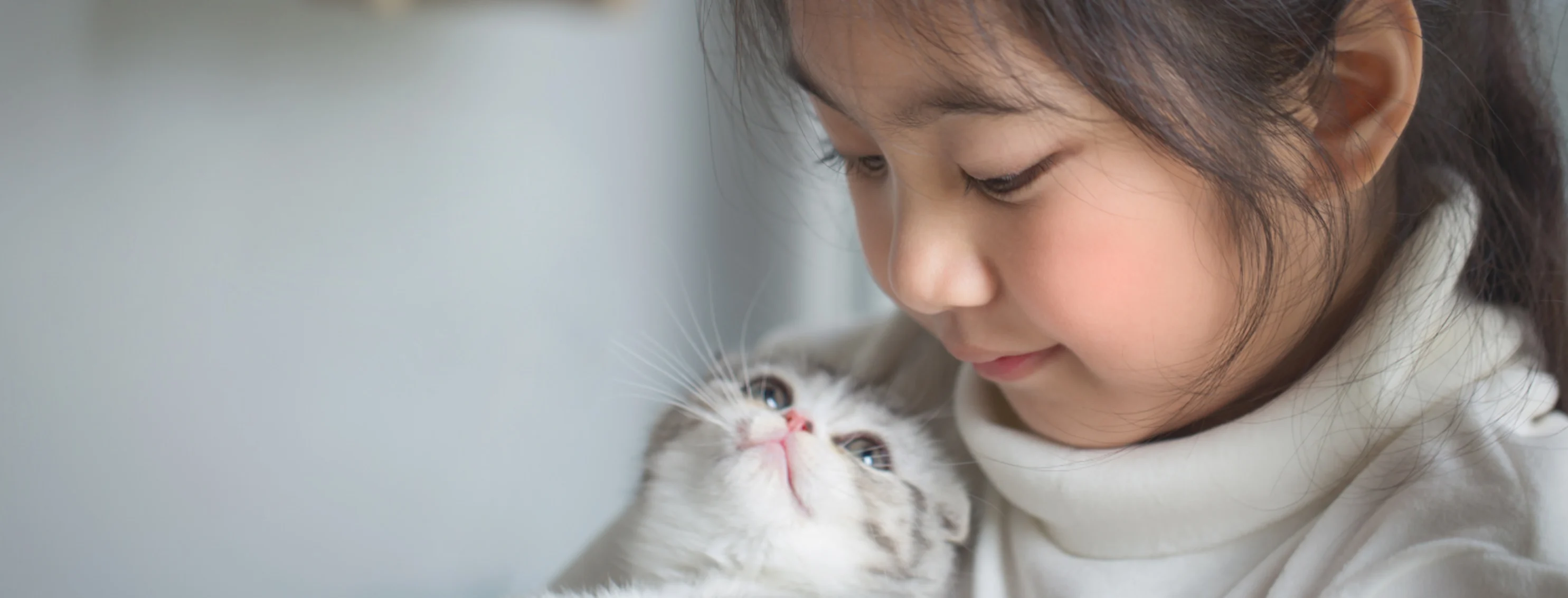 Little Girl Looking Down & Holding Kitten Little Girl Looking Down & Holding Kitten