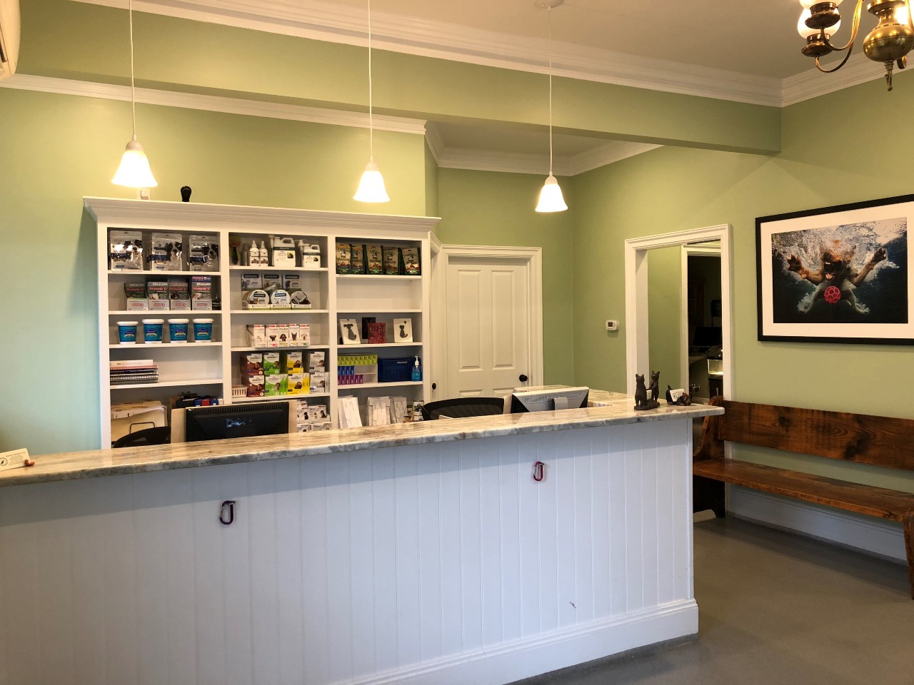Lobby Area and reception desk at Court Street Animal Hospital