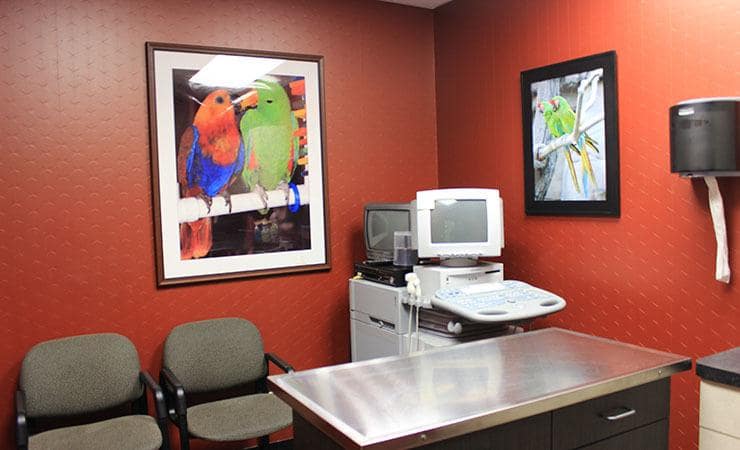 All Creatures (NY) Exam Room