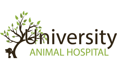 University Animal Hospital Orlando Logo