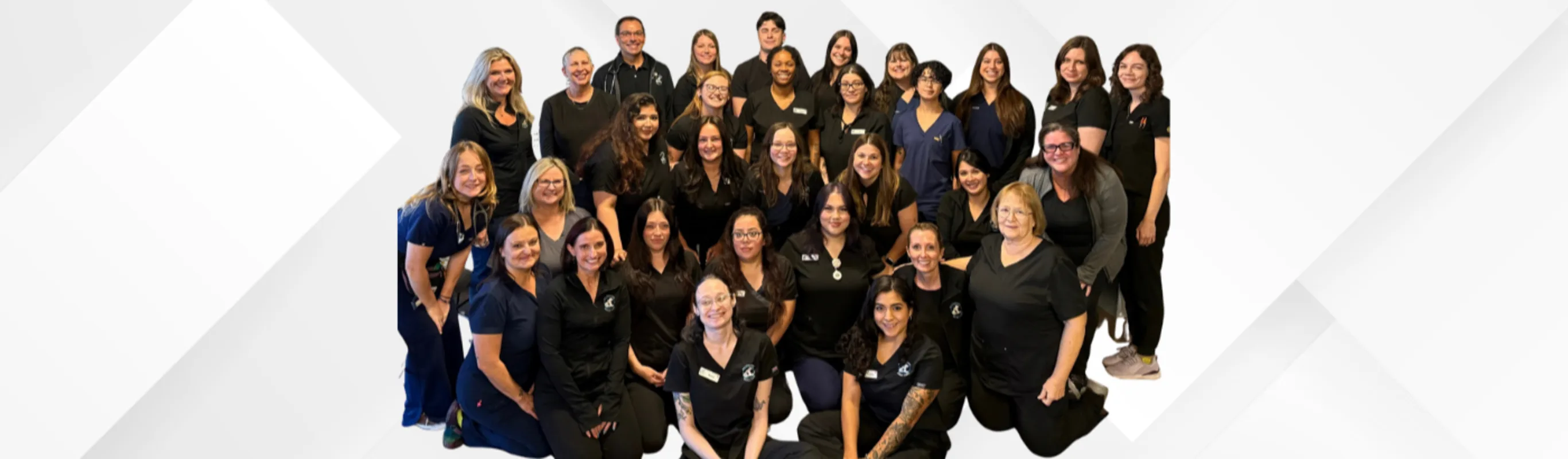 All Creatures Animal Clinic - Full Staff Photo All Creatures Animal Clinic - Full Staff Photo