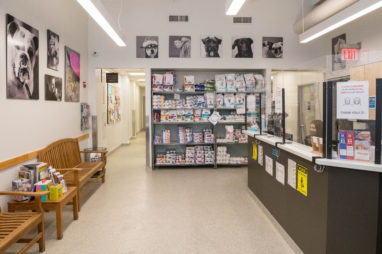 Waiting area in West Village Veterinary Hospital