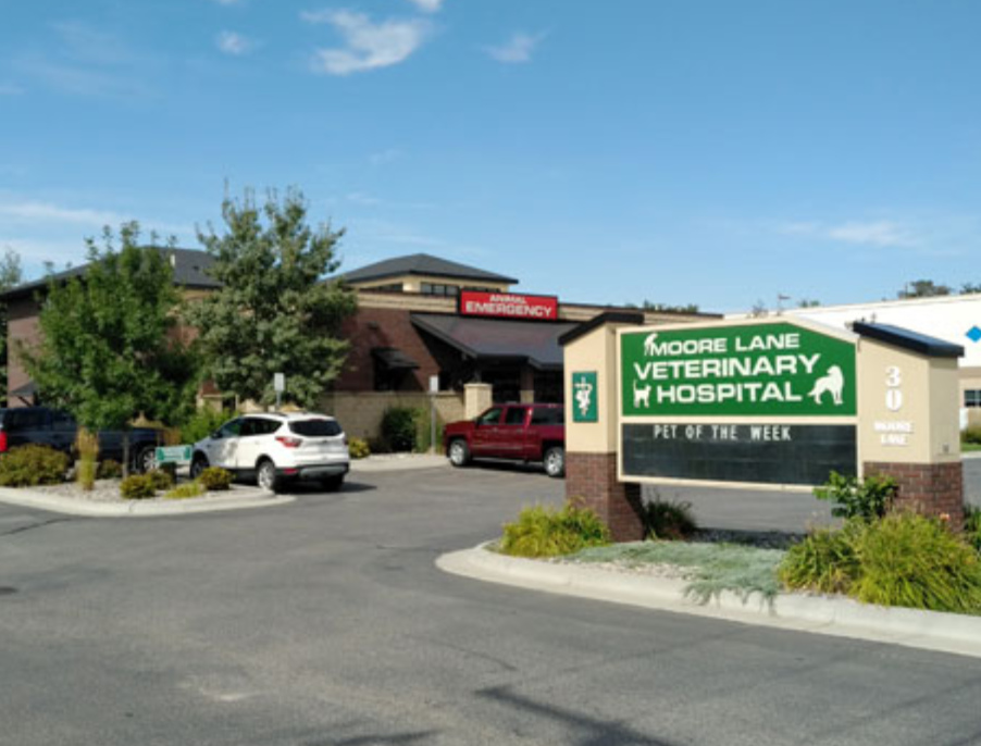 Sign of Moore Lane Veterinary Hospital