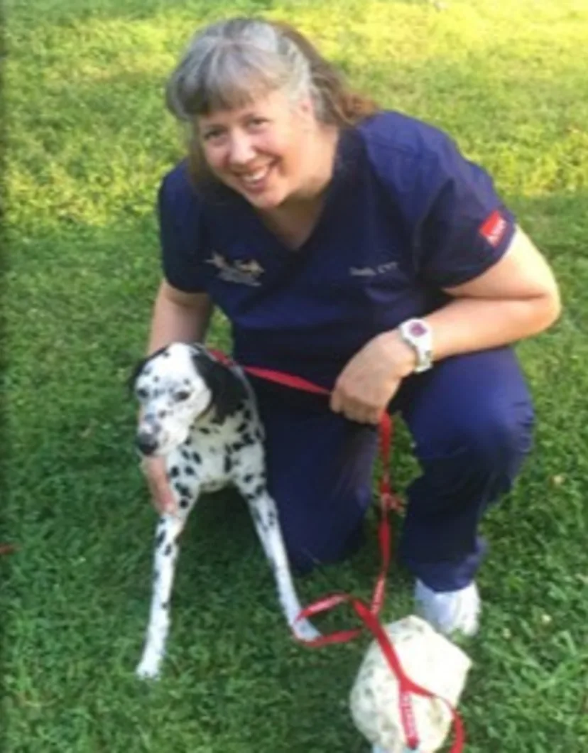 Sandy Bell from Princeton Animal Hospital & Carnegie Cat Clinic
