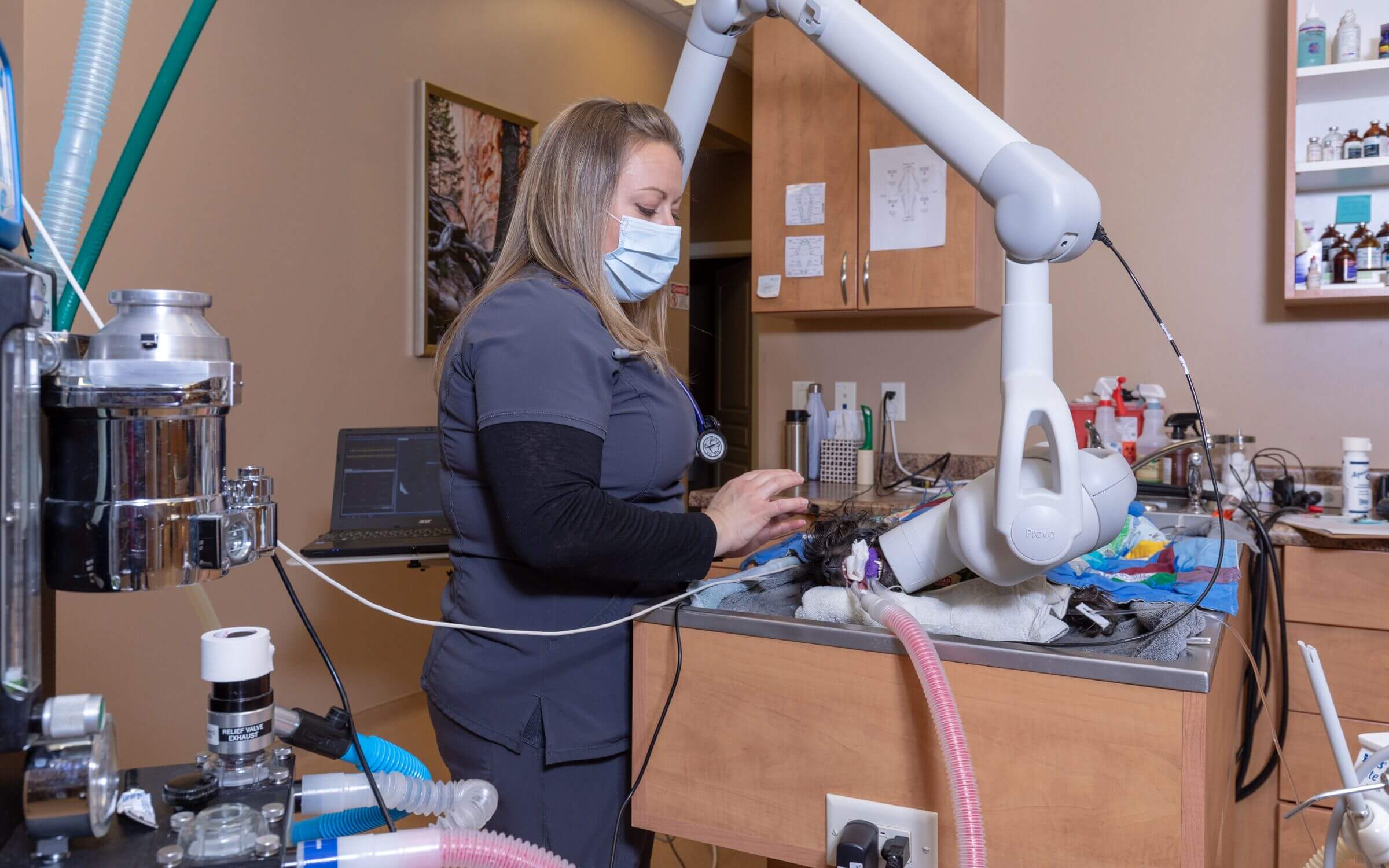 Technician operating an oral radiograph machine at Red Hills Animal Hospital
