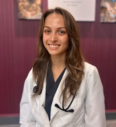 Abigail Harty Abigail Harty