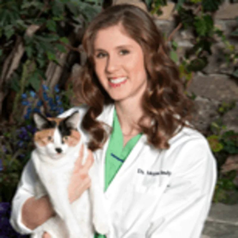 Megan Brody Megan Brody