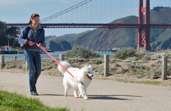  Owner walking her dog by The Golden Gate Bridge