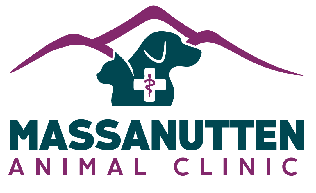 Massanutten Animal Clinic Logo