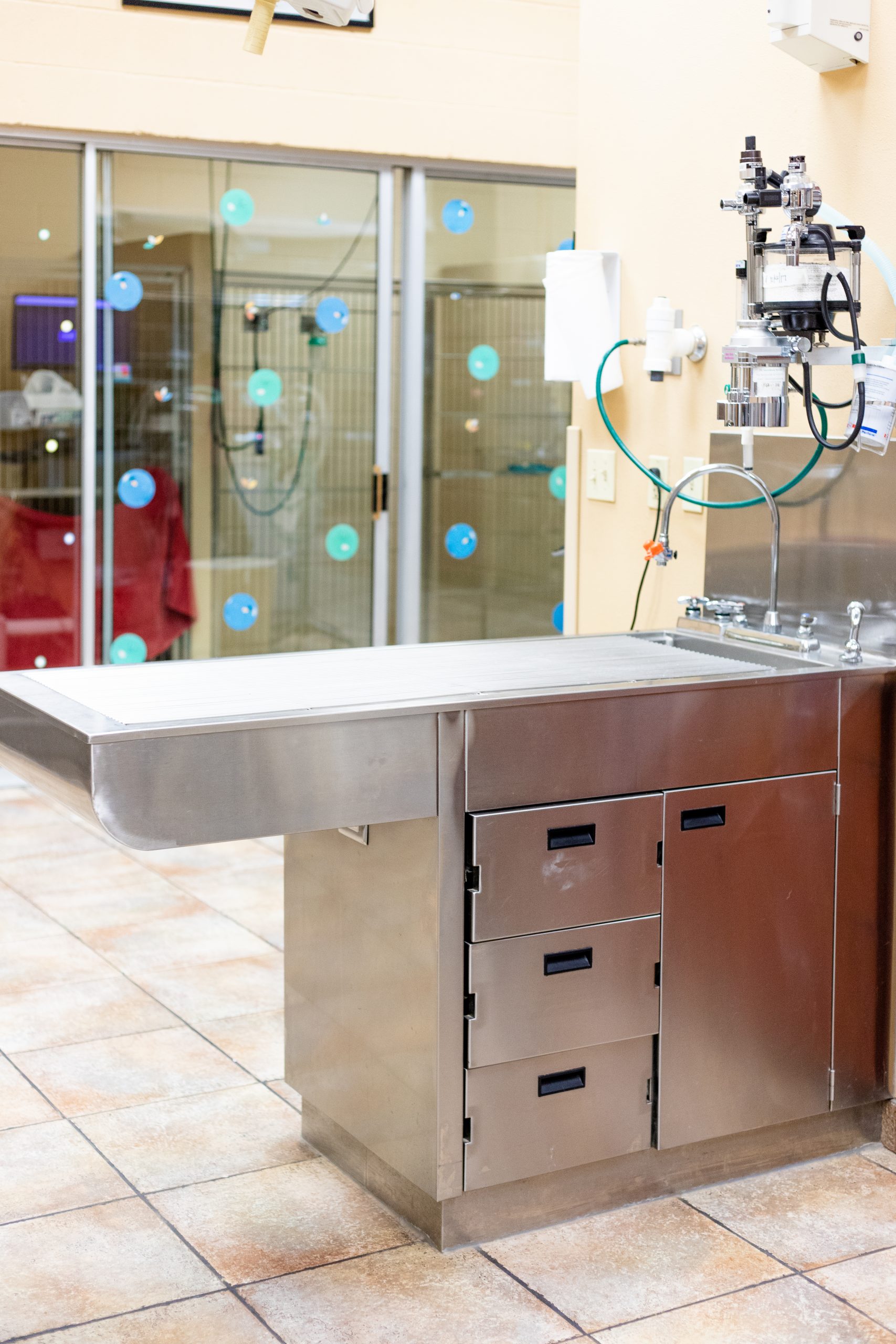 Emergency Animal Hospitals of Collin County treatment room