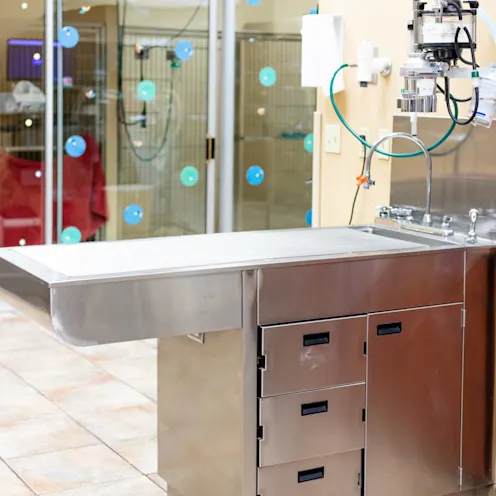 Emergency Animal Hospitals of Collin County treatment room Emergency Animal Hospitals of Collin County treatment room