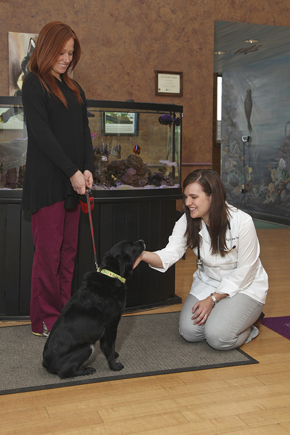 Tender Touch Animal Hospital Dr. Charlotte Thiessen