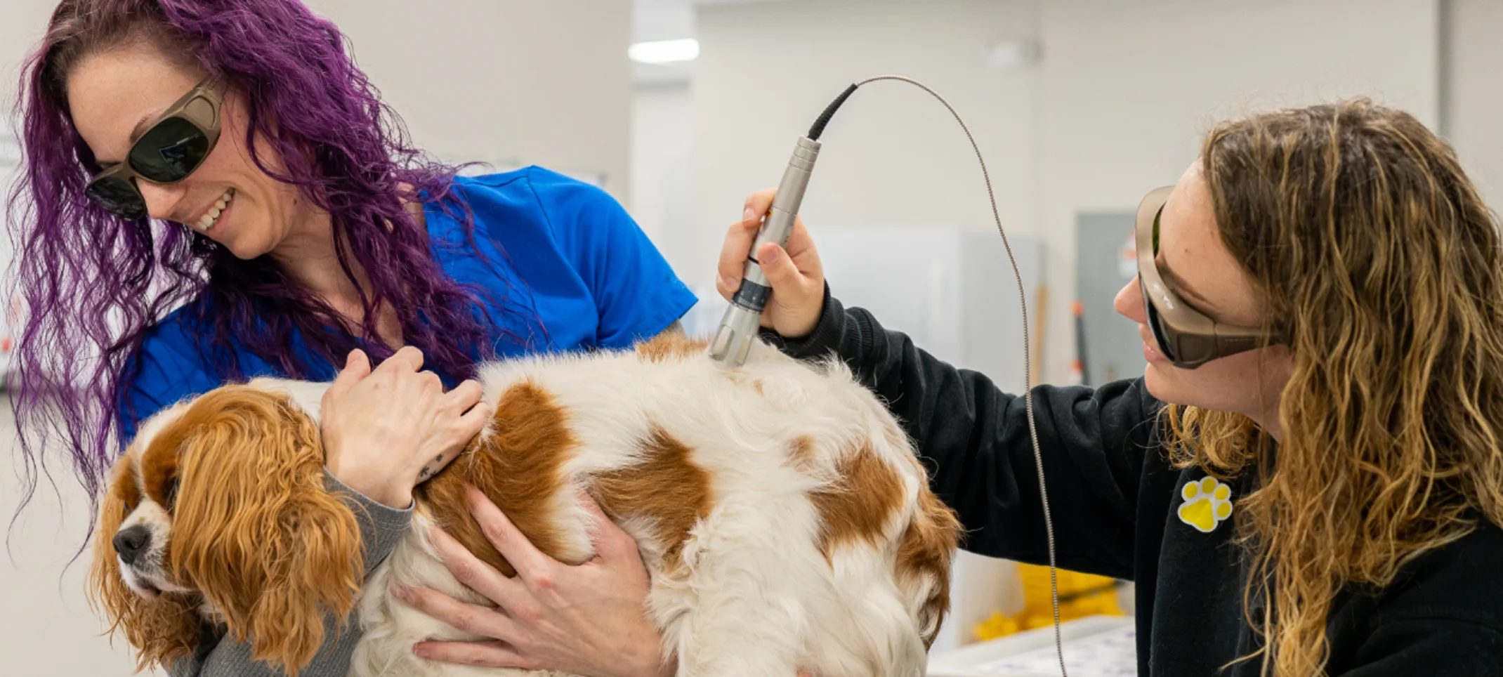 Laser Therapy Laser Therapy