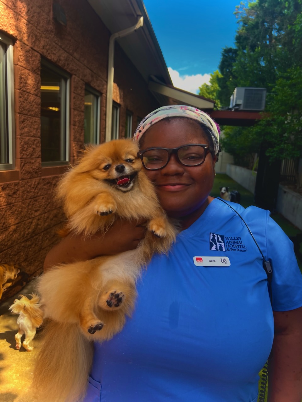 Staff member hugging Pomeranian