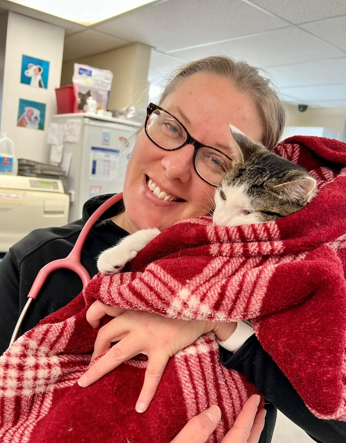 Shannon Ricketts Shannon Ricketts