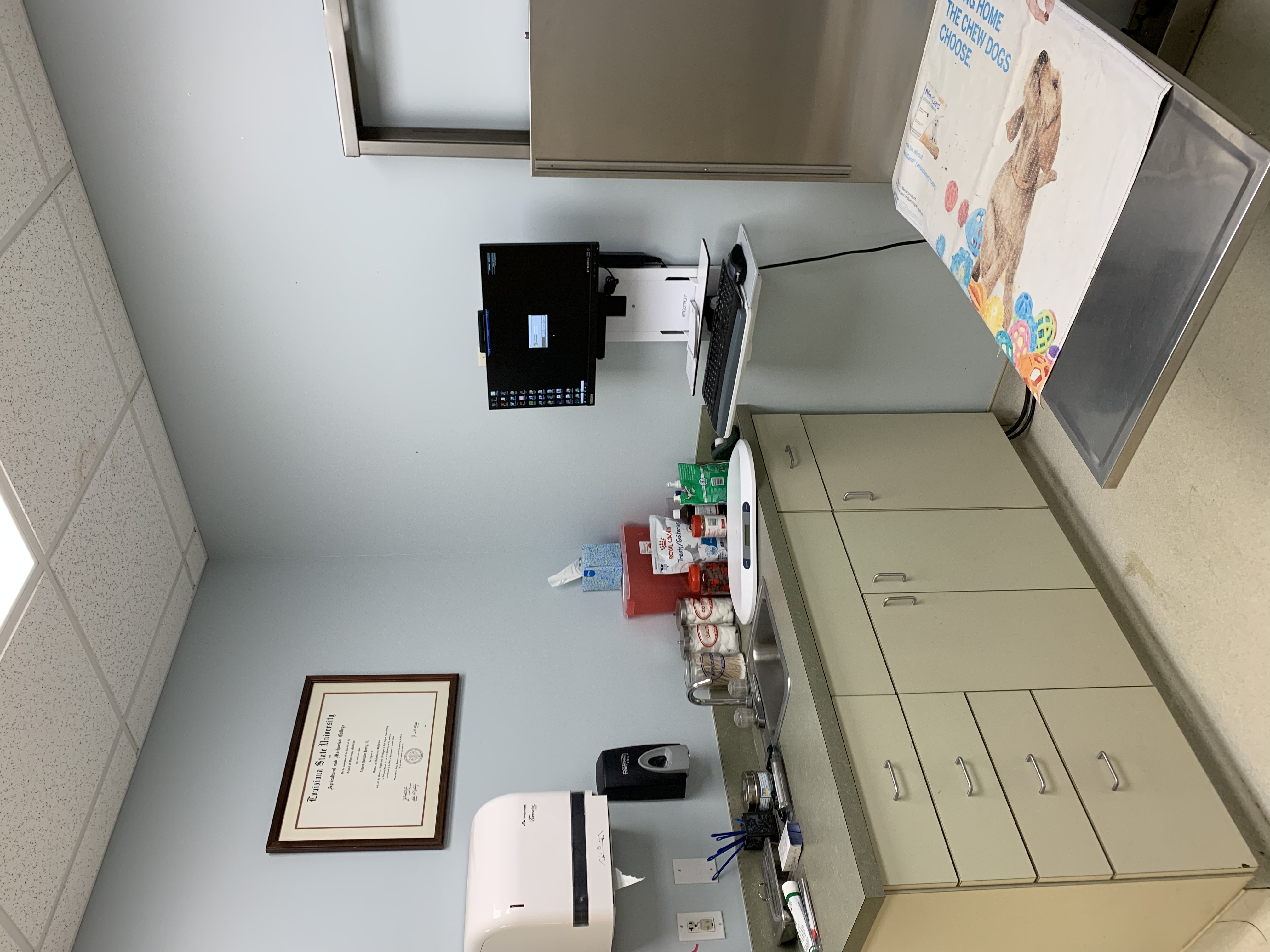 Exam Room at Peaks View Animal Hospital