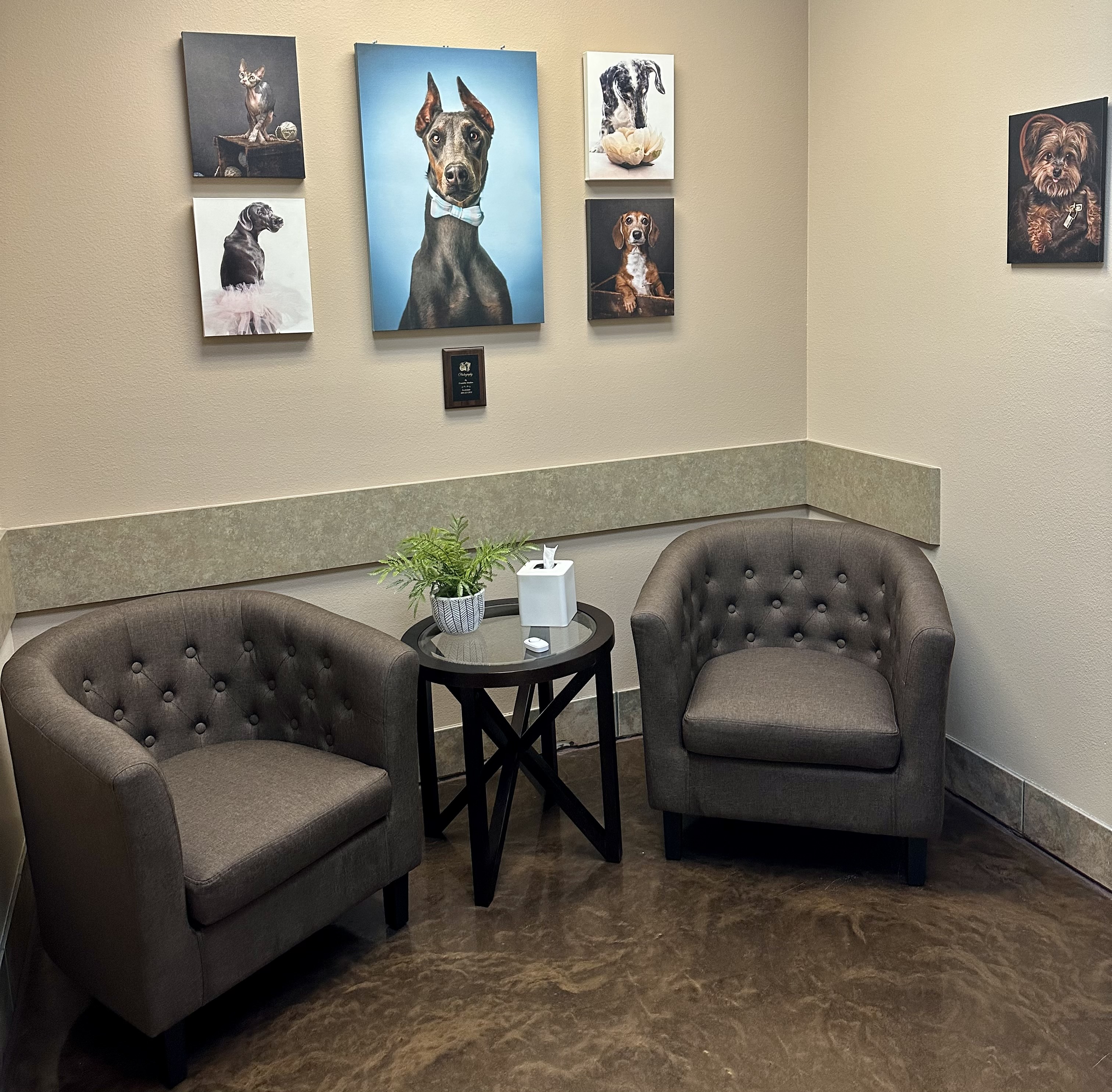 DC Ranch Animal Hospital's comfort suite