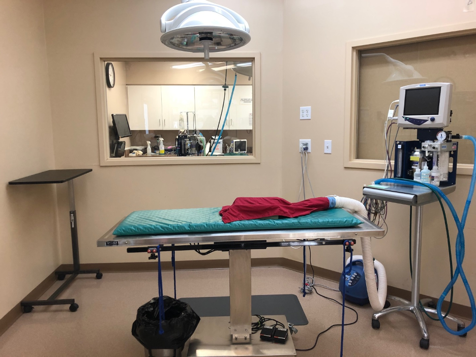 Surgical Room at Niles Veterinary Clinic