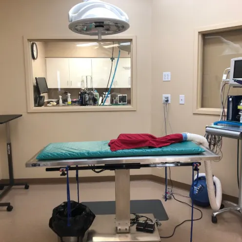 Surgical Room at Niles Veterinary Clinic