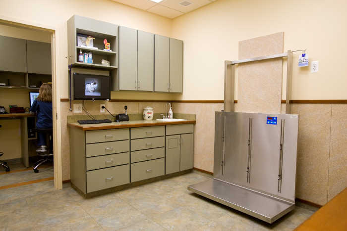 A scale used to weigh the pets at Oakhurst Veterinary Hospital