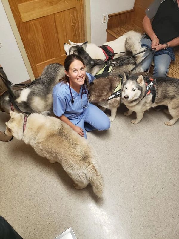 Staff with multiple huskies