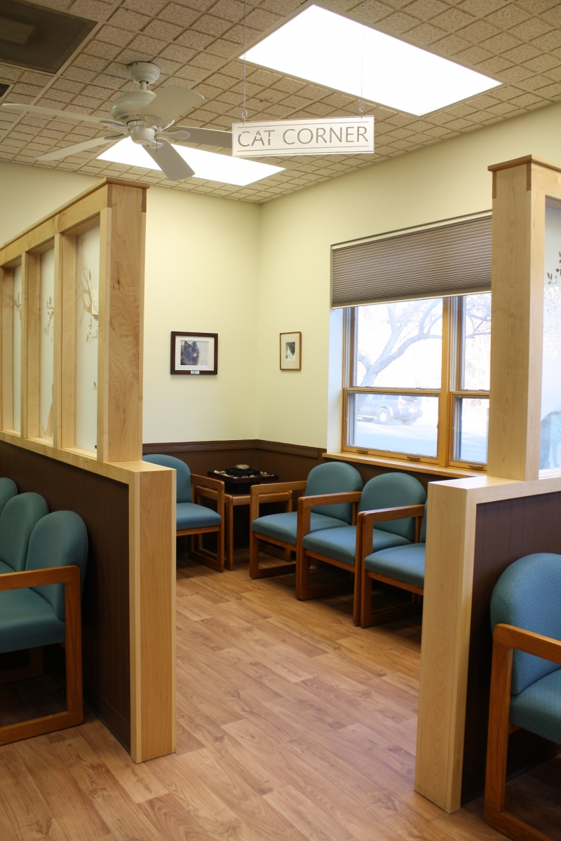 Inside of Northampton Veterinary Clinic cat corner